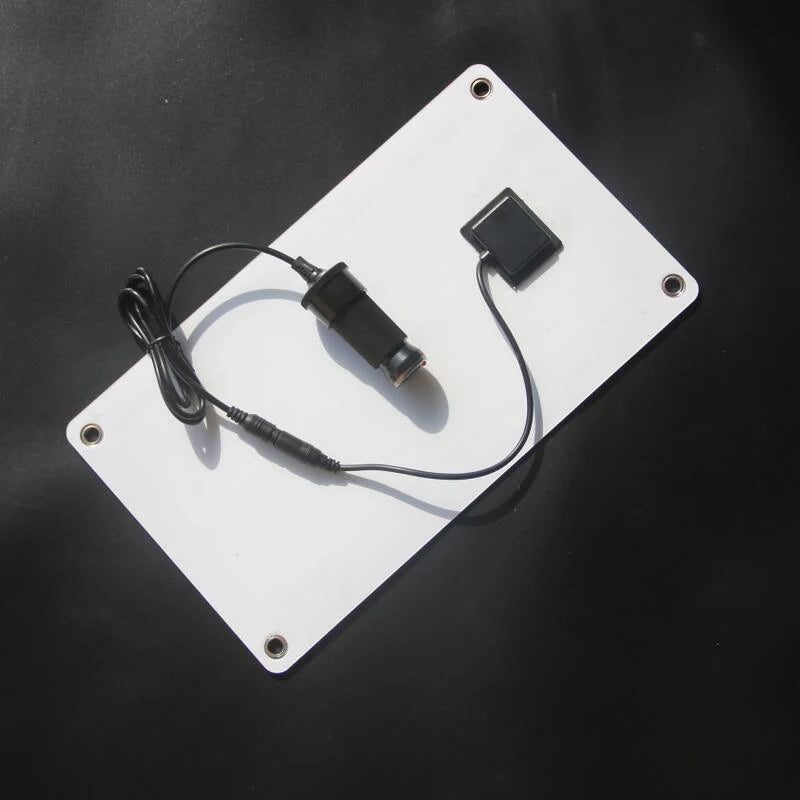 Rear panel and vehicle-plug lead