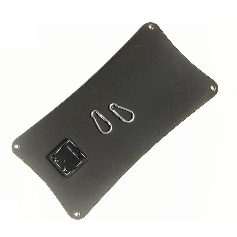 Panel rear and two carabiners