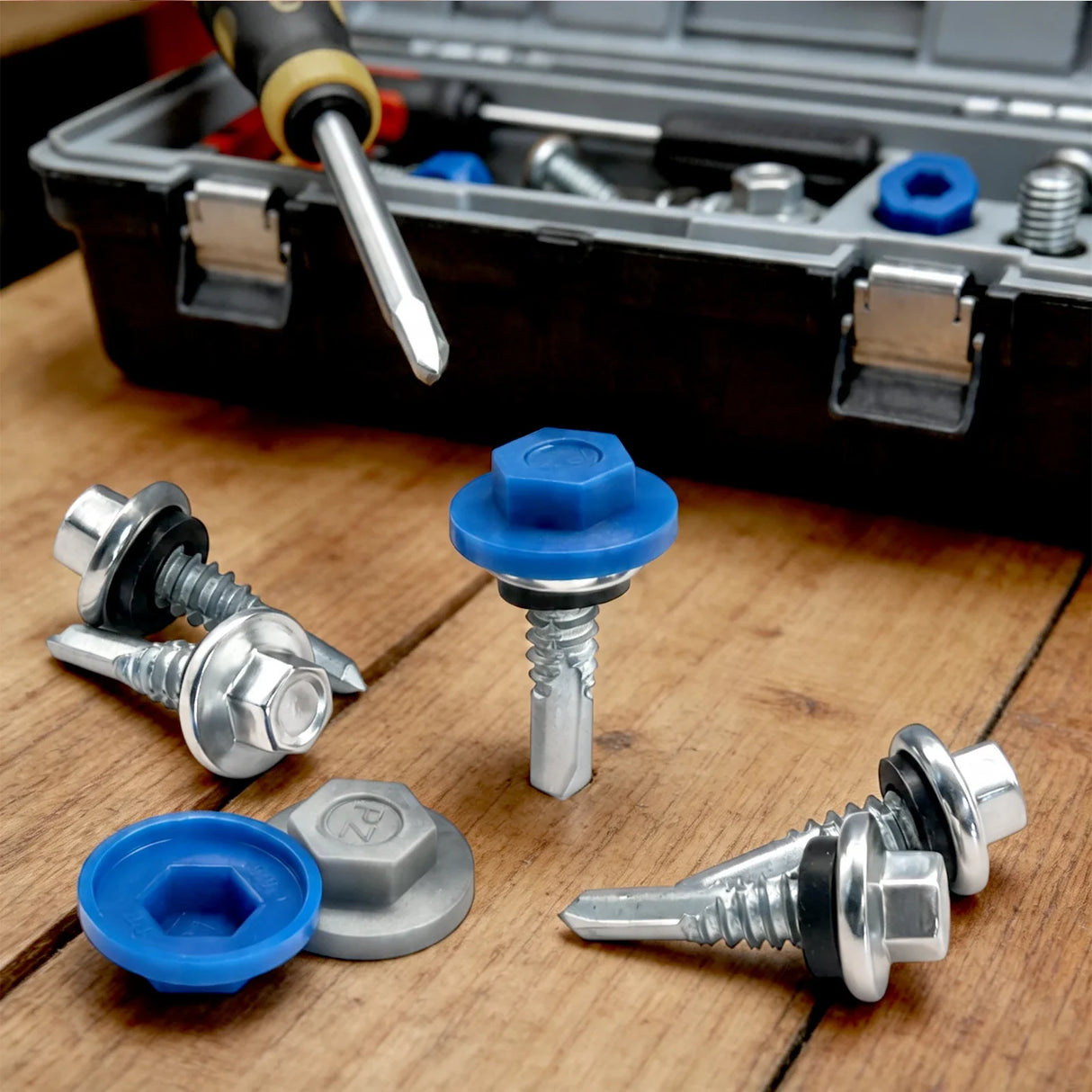 Blue and gray protective screw caps beside compatible hex head fasteners