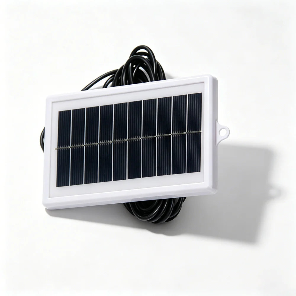 Monocrystalline cell face within a white frame