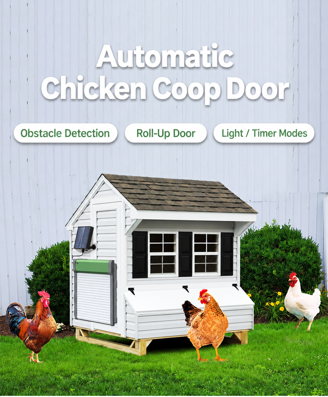 Solar automatic coop door installed on a white chicken house beside poultry