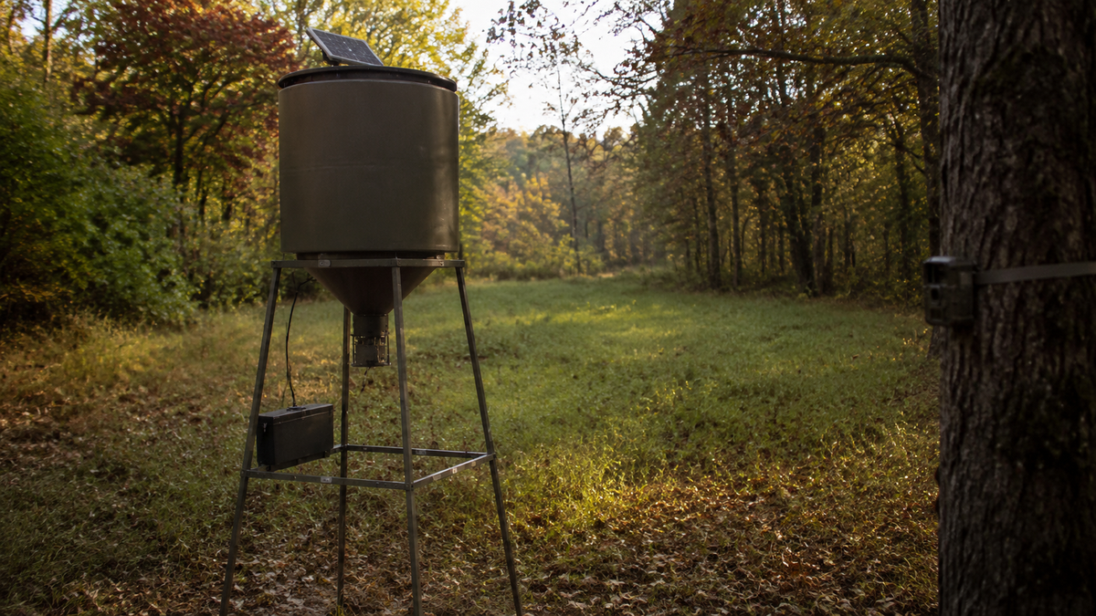 Solar panel mounted on deer feeder in wooded food plot with trail camera