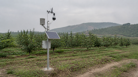 A solar-powered agricultural weather station on a dedicated pole at the edge of an orchard, with sensors, solar panel, and enclosure visible against rows of trees.