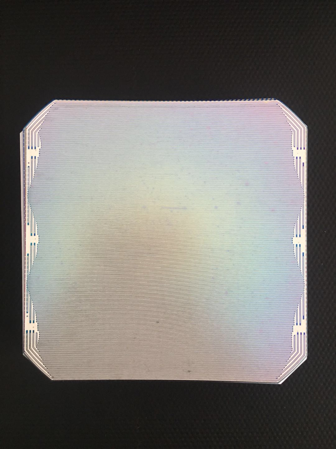 Rear face of a back-contact solar cell showing the interdigitated metal contacts