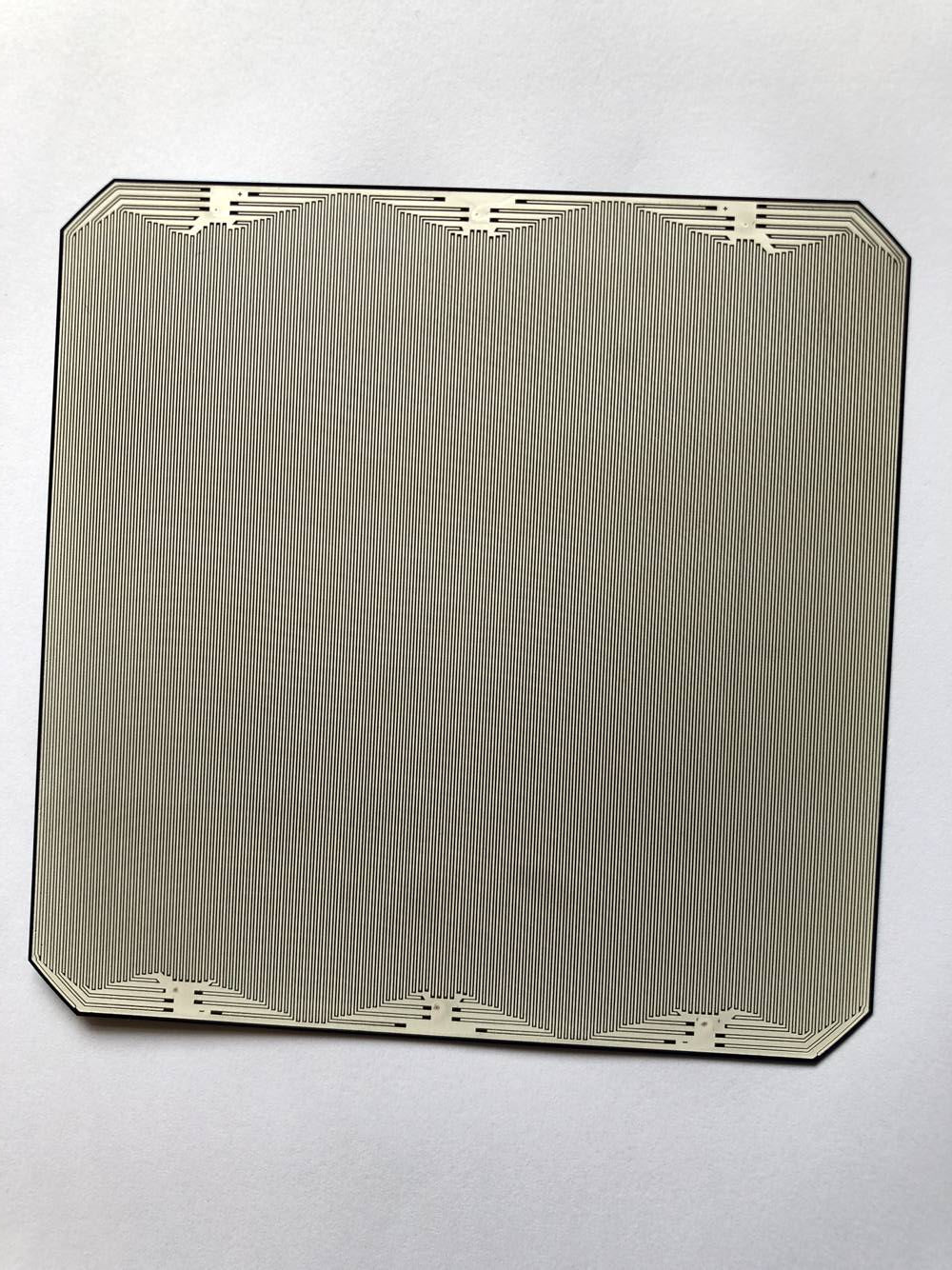 Rear side of a full-size back-contact solar cell with interdigitated contact fingers and clipped corners on a white background