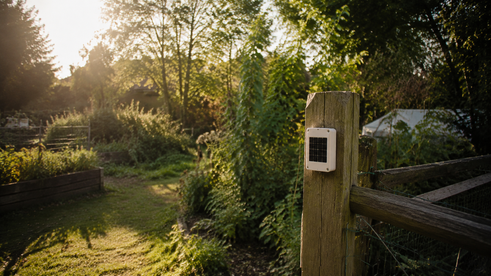 Small IoT sensor node with embedded micro solar panel in white enclosure mounted on wooden fence post in garden setting