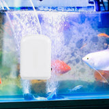 5W 5W solar air pump kit — aerator aquarium demonstration