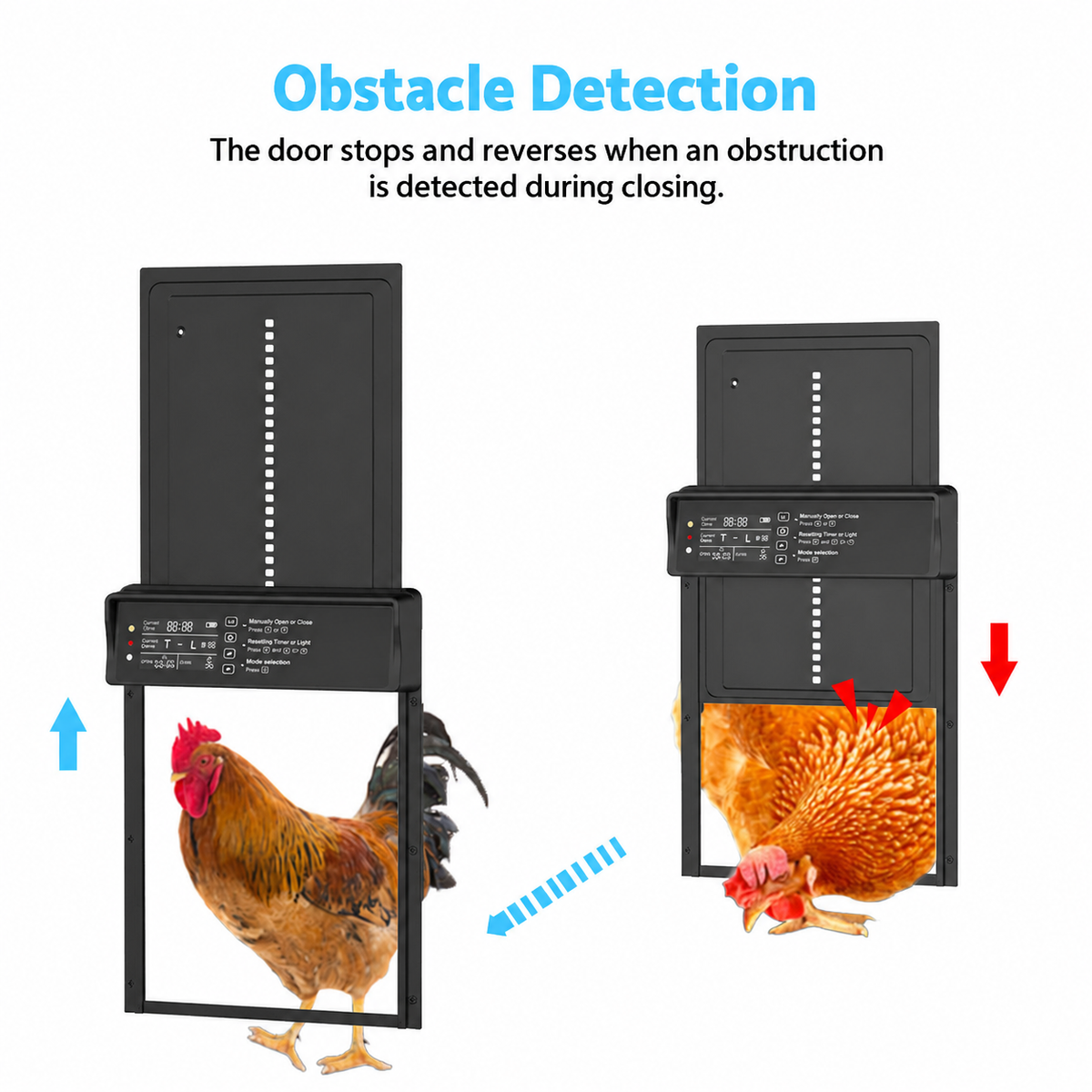Coop door obstruction-response diagram with closing and reversing arrows