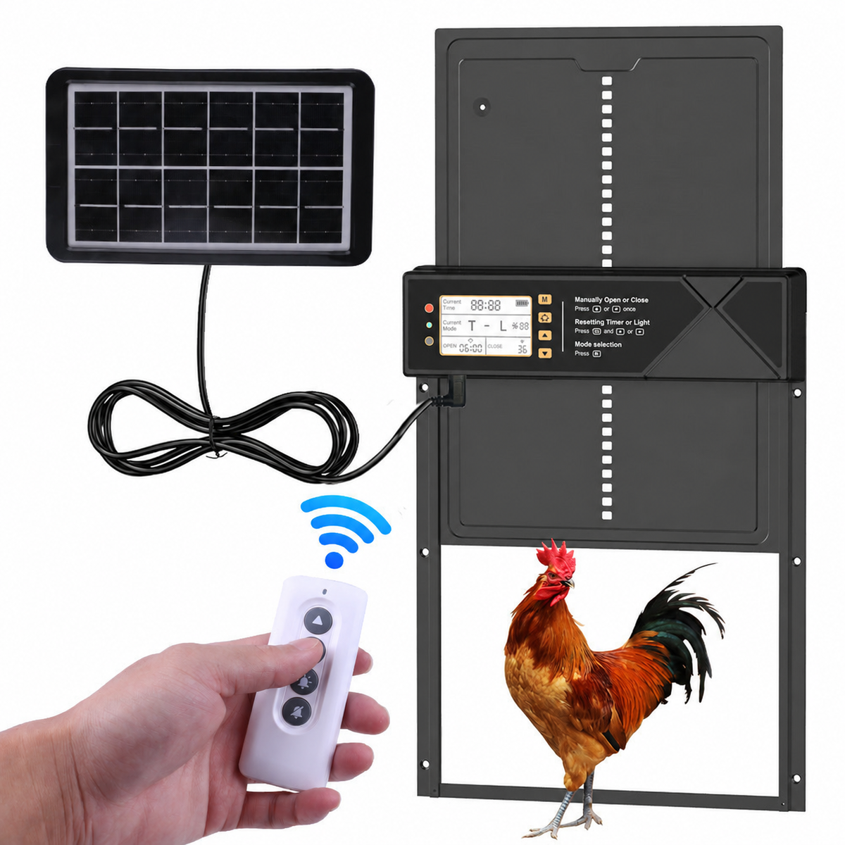 Black coop door with solar panel, remote control and a rooster in the opening