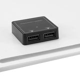 Close view of two USB-A outlets