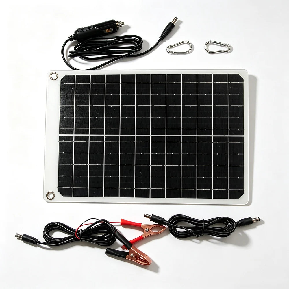 Panel with standard kit leads and two carabiners