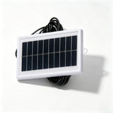 Monocrystalline cell face within a white frame