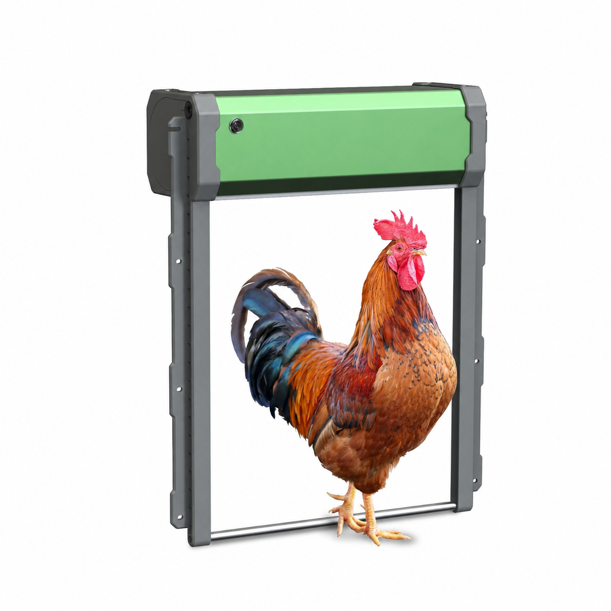 Open green roll-up chicken coop door with gray guide rails and a rooster