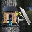 Wooden bird feeder camera on a tree with separate solar panel and a bird on the feeding platform