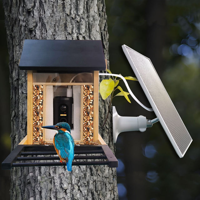 Wooden bird feeder camera on a tree with separate solar panel and a bird on the feeding platform